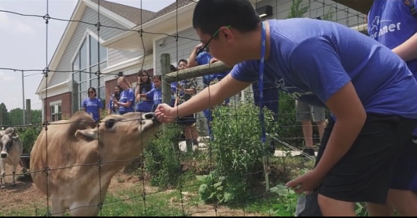 college of veterinary science hands on.jpg University vet school students at the farm.